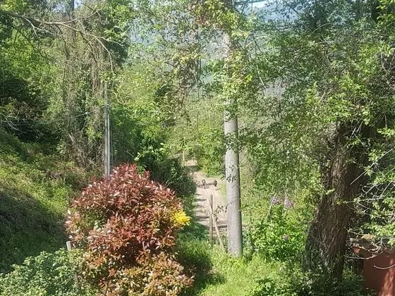 Tek Büyük Yataklı Oda, Bahçe Manzaralı