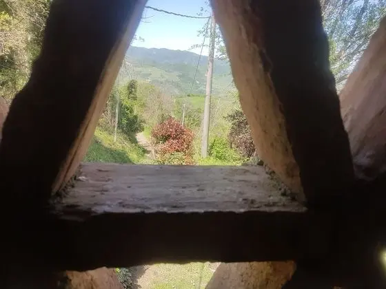 Tek Büyük Yataklı Oda, Bahçe Manzaralı