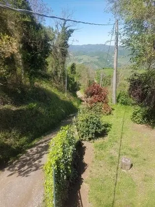 Tek Büyük Yataklı Oda, Bahçe Manzaralı