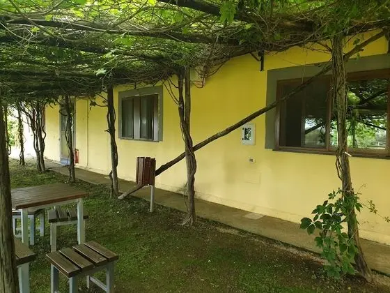 Deluxe Tek Büyük Yataklı Oda, 1 Çift Kişilik Yatak, Banyolu/Duşlu, Bahçeli