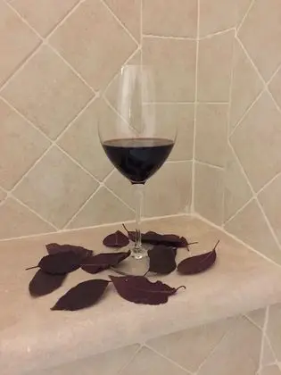 Deluxe Apart Daire, Bahçe Manzaralı