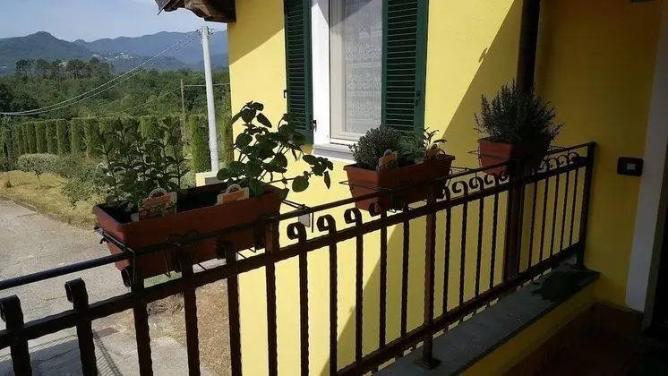 Standard Tek Büyük Yataklı Oda, Balkon, Bahçe Manzaralı (2)