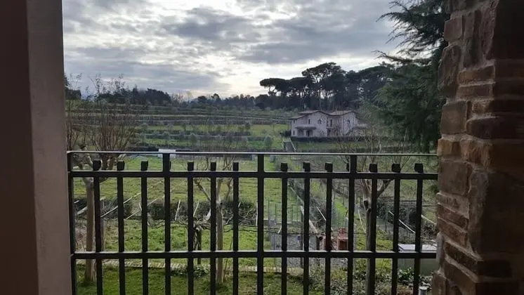 Standard Tek Büyük Yataklı Oda, Balkon, Bahçe Manzaralı (2)