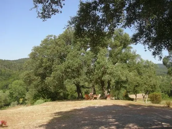 Apart Daire, Havuz Manzaralı