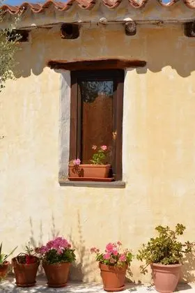 Bungalov