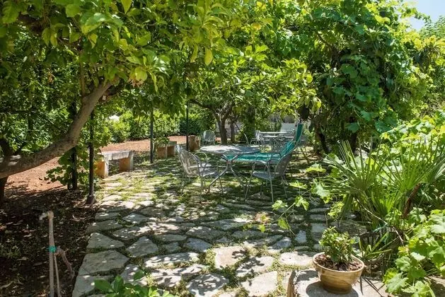 Superior Tek Büyük Yataklı Oda, 1 Yatak Odası, Sigara İçilmez, Buzdolabı ve Mikrodalga