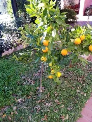 Apart Daire, 2 Yatak Odası, Havuz Manzaralı