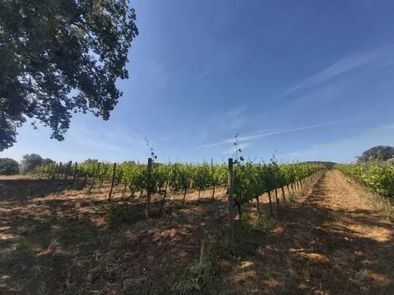 Apart Daire, 2 Yatak Odası, Teras