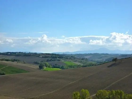 Traditional Stüdyo, Tepe Manzaralı (Verde)