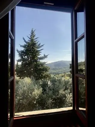 Oda, 1 Yatak Odası