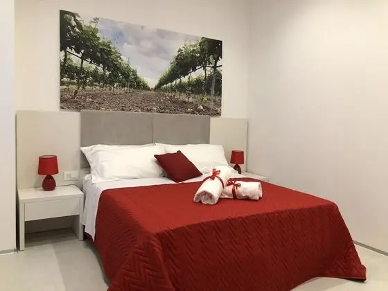 Deluxe Tek Büyük Yataklı Oda, 1 Büyük (Queen) Boy Yatak (Accesible with shower)