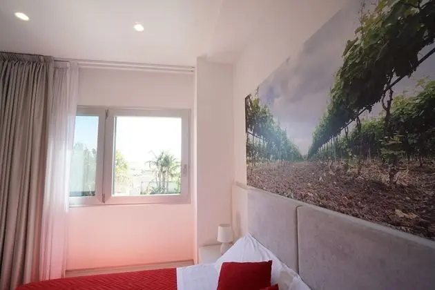 Deluxe Tek Büyük Yataklı Oda, 1 Büyük (Queen) Boy Yatak (Accesible with shower)