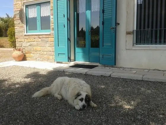 Deluxe Dört Kişilik Oda (Trullo d'Oro)