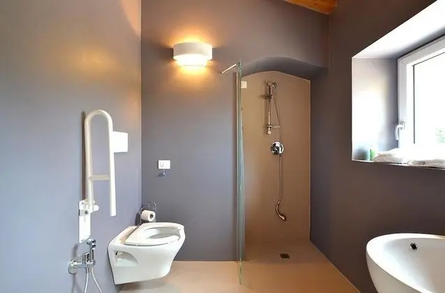 Deluxe Tek Büyük Yataklı Oda, Engellilere Uygun