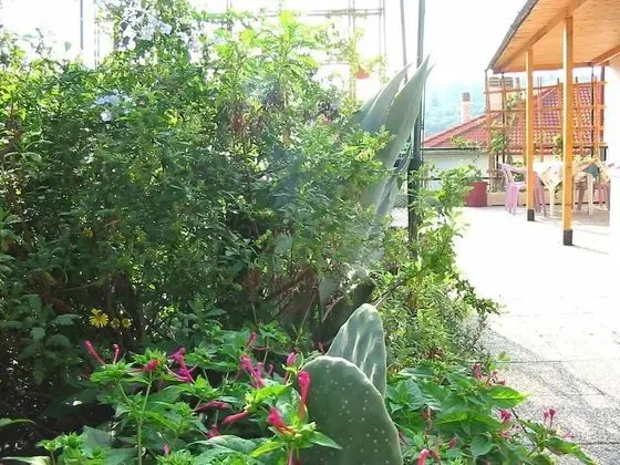 Ev, 2 Yatak Odası (Casa Sole)