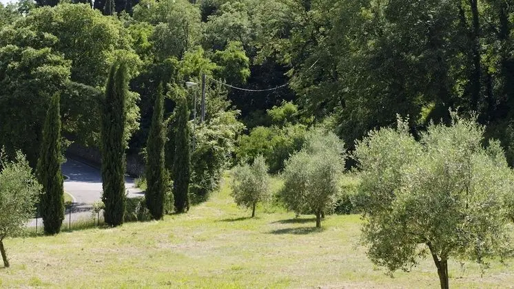 Comfort Dört Kişilik Oda, Bahçe Manzaralı