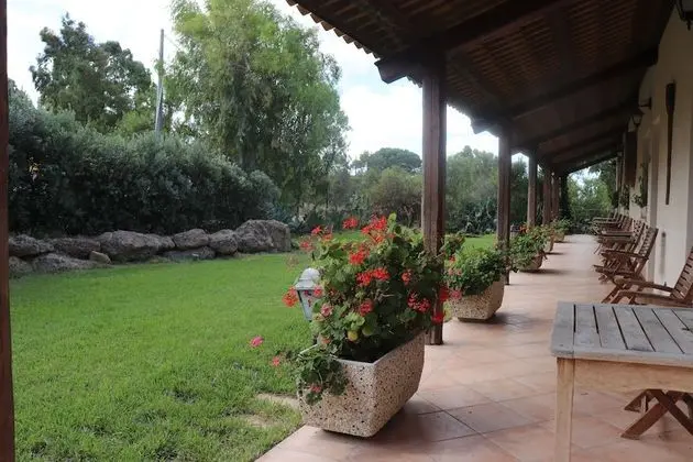 Oda (Country Experience)