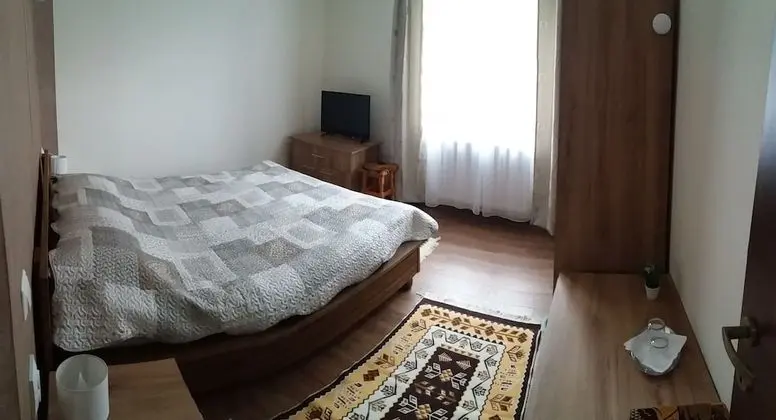 Standard Tek Büyük Yataklı Oda, 1 Büyük (Queen) Boy Yatak, Sigara İçilmez