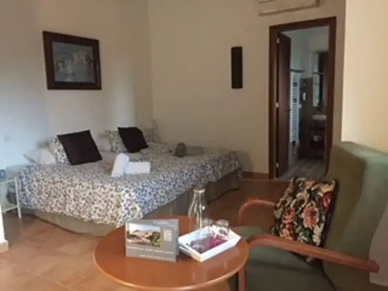 Comfort Tek Büyük veya İki Ayrı Yataklı Oda, Sigara İçilmez