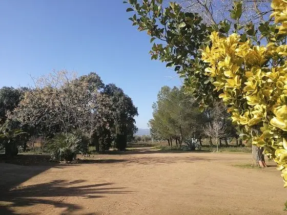 Apart Daire (Cazador)