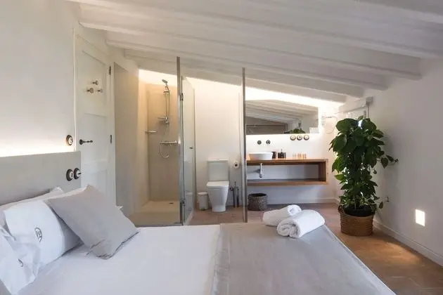 Çatı Katı Süiti (Penthouse) (2 pax)