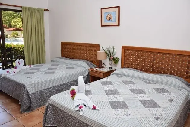 Tek Büyük Yataklı Oda, Havuz Manzaralı