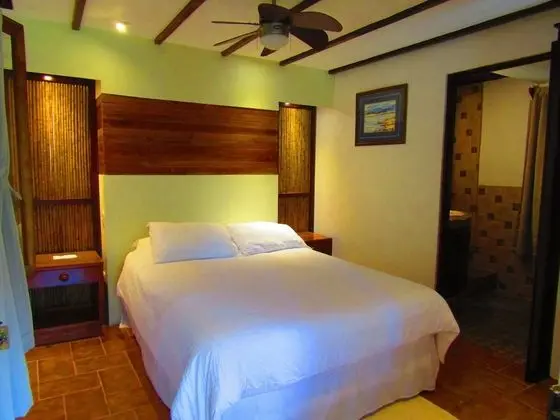 Standard Tek Büyük Yataklı Oda, 1 Büyük (Queen) Boy Yatak