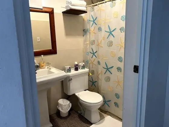 Deluxe Tek Kişilik Oda