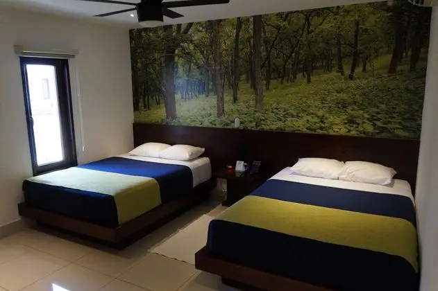 Standard Tek Büyük Yataklı Oda, 1 Yatak Odası