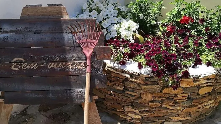 Kır Evi, 1 Büyük (Queen) Boy Yatak