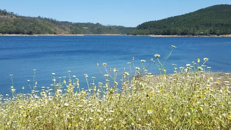 Kır Evi, 1 Büyük (Queen) Boy Yatak