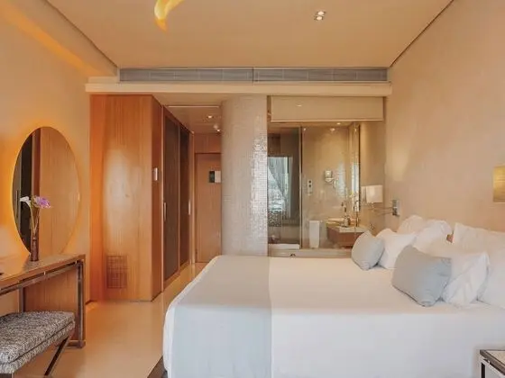 Deluxe Tek Büyük Yataklı Oda, Teras, Havuz Manzaralı