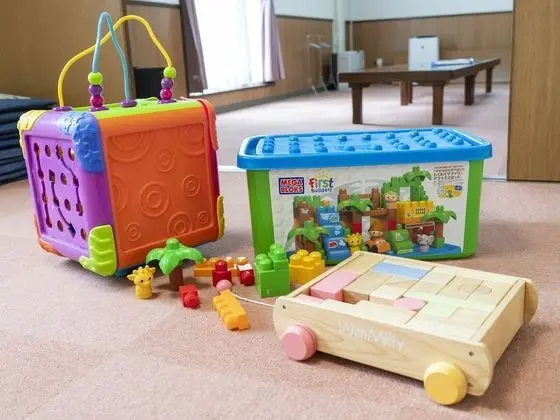 Kır Evi (with Toy box)