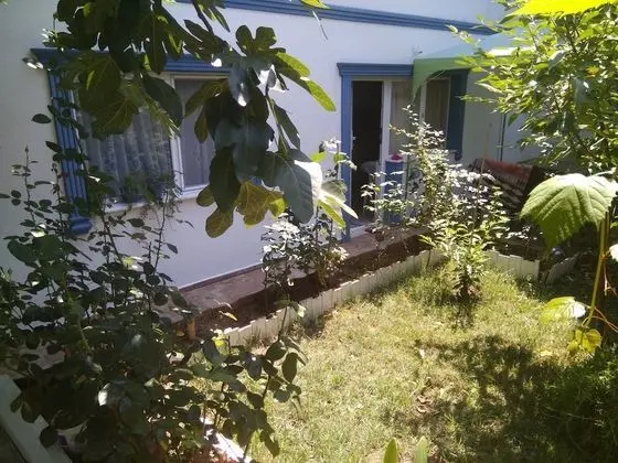 Economy Dört Kişilik Oda, 1 Yatak Odası, Engellilere Uygun