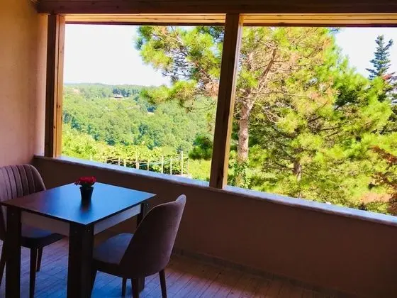 Comfort Oda Ana Bina, Orman veya Kısmi Deniz Manzaralı, Balkonlu