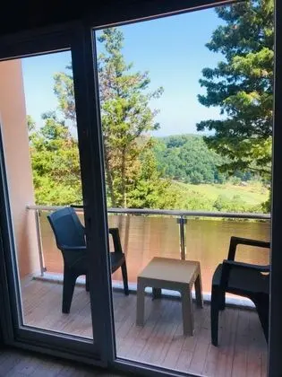 Şömineli Standart Oda, Deniz veya Orman Manzaralı, Şömineli ve Balkonlu