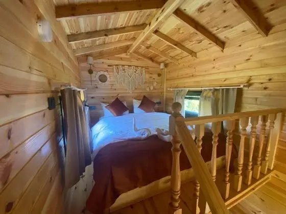 Tiny House Bungalow Bahce Manzaralı