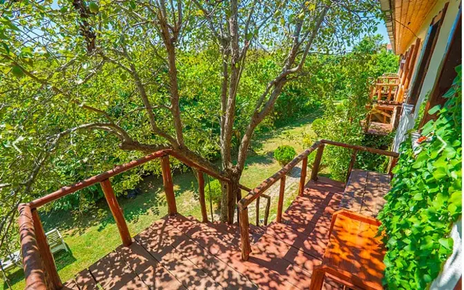 Masal 1 Standart Bungalow Oda