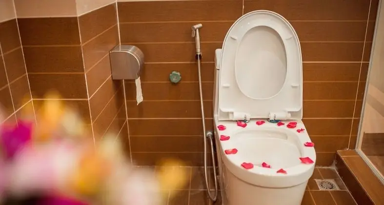 Deluxe Tek Büyük Yataklı Oda, 2 Büyük (Queen) Boy Yatak