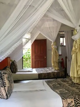 Luxury İki Ayrı Yataklı Oda, Özel Banyo, Havuz Manzaralı
