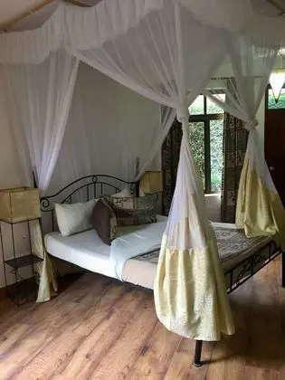 Luxury Tek Büyük Yataklı Oda, Özel Banyo, Havuz Manzaralı