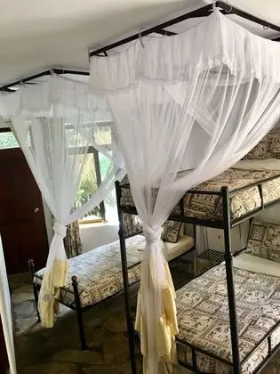 Superior Üç Kişilik Oda, Özel Banyo, Havuz Manzaralı
