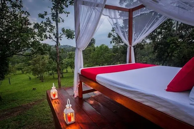 Tent with a Bushwalk Trekking