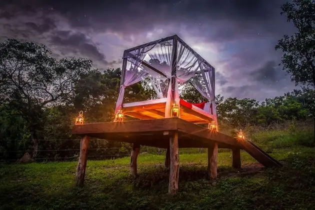 Tent with a Bushwalk Trekking