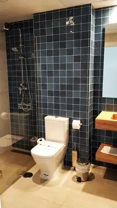 Premium Çatı Katı Süiti (Penthouse)