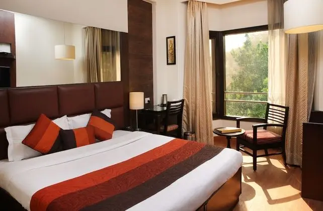 Deluxe Oda, Şehir Manzaralı