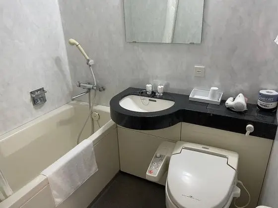 Basic Tek Kişilik Oda, Sigara İçilmez (ECO plan - No cleaning service)
