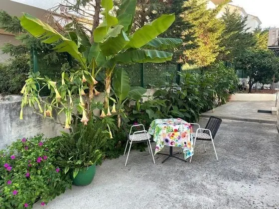 Superior Stüdyo, Zemin Kat