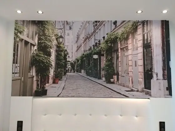 Superior Tek Büyük veya İki Ayrı Yataklı Oda