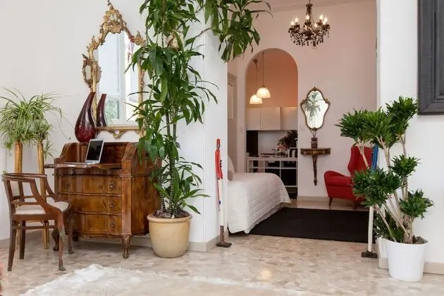 Deluxe Apart Daire, 1 Yatak Odası, Mutfak, Bahçe Manzaralı